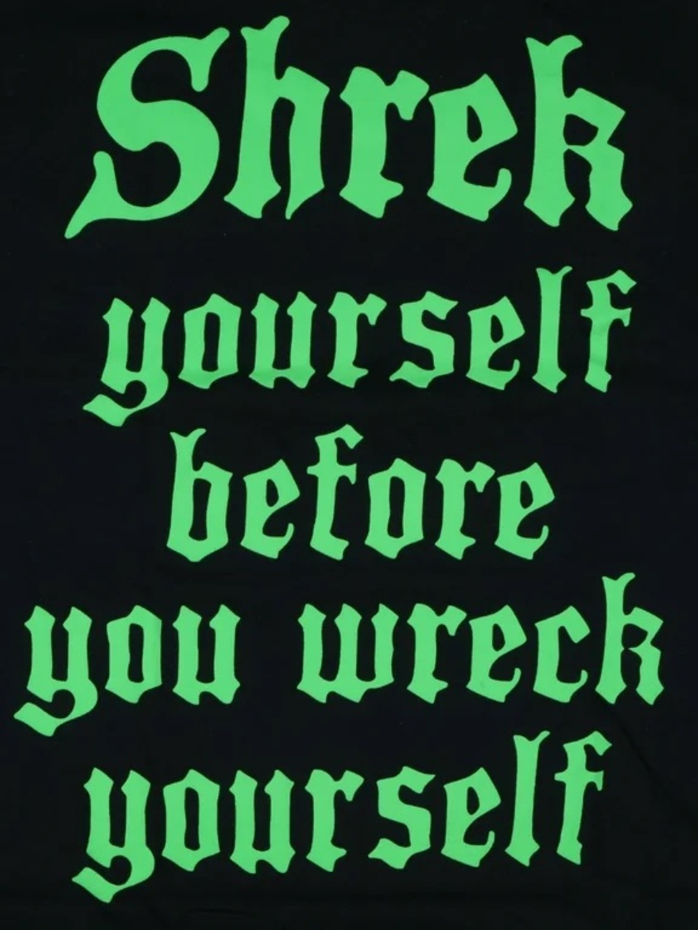 Dreamworks Shrek Men's Shrek Yourself Before You Wreck Yourself T-Shirt, Blk, S - Picture 3 of 4